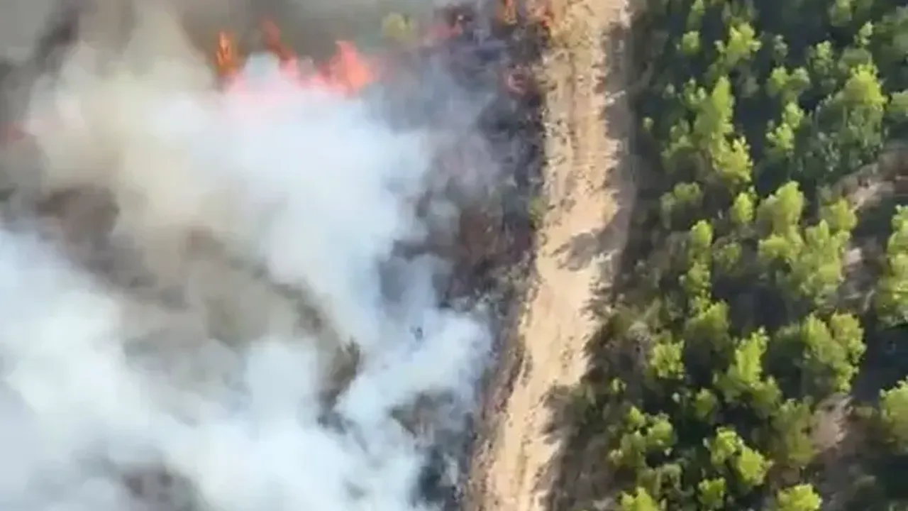 Antalya'da Yangın Müdahalesi Devam Ediyor