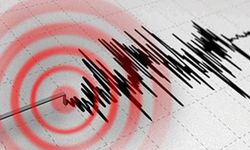 Van'da korkutan deprem