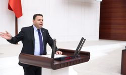 Ediz Ün: Hayvancılık İthalat Sarmalında Can Çekişiyor!