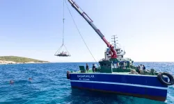İzmir'de midye kabukları deniz yaşamına nefes olacak