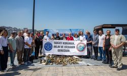 Büyükşehir'den Gemlik'te deniz dibi temizliği