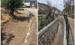 Büyükşehir'den Gürsu'da çevreyi ve yaşamı koruyan çalışma