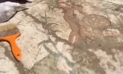 Aspendos'ta tarihi keşif... Eurymedon Nehri mozaiği gün yüzüne çıkarıldı