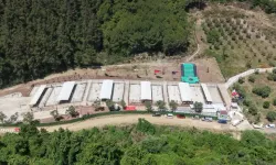 Bursa Gemlik’te sahipsiz hayvanlara modern yaşam alanı