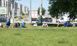 Bu Yaz Osmangazi’de Çiçek Kokuları Eksik Olmayacak