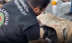 Gümrük Muhafaza'dan uyuşturucu kaçakçılarına rekor darbe... 3 yılda 109 ton uyuşturucu!