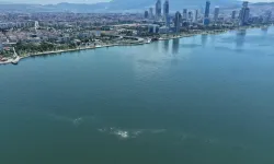 İzmir Körfezi’nde 14’üncü kirlilik tespiti
