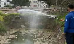 İzmir'de sivrisineğe karşı dev mücadele