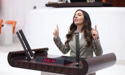CHP'li ALTACA KAYIŞOĞLU; MONARŞİYE GEÇİT YOK:“EGEMENLİK KAYITSIZ ŞARTSIZ MİLLETİNDİR”