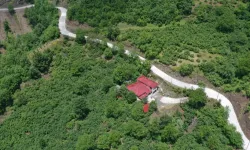 Ordu ile Tokat'ı bağlayan yolda beton çalışması