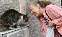 Sokak hayvanlarının “Panter Emel”i hayatını kaybetti