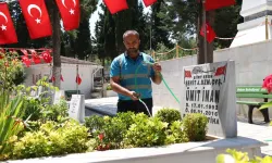 Gebze'de mezarlık ve şehitliklere kapsamlı bakım