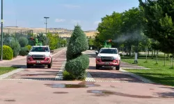 Ankara Büyükşehir'de ilaçlama seferberliği