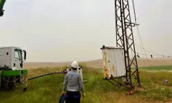Şanlıurfa’da tarımsal sulamada kaçak elektrik oranı yüzde 94’e ulaştı