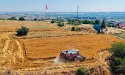 Tarımda baskısı artıyor