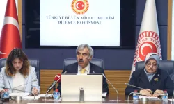 TBMM’de Akran Zorbalığı Raporu kabul edildi