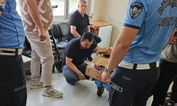 Zabıtadan sağlıksız et operasyonu