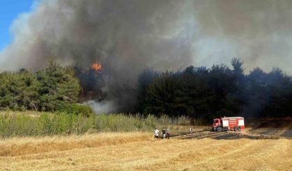Çanakkale'de alevlerle mücadele sürüyor... 575 hektarlık alan etkilendi