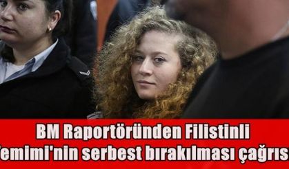 BM Raportöründen Filistinli Temimi'nin serbest bırakılması çağrısı