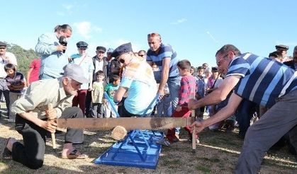 Bodrum’da Pedasa Festivali Başlıyor