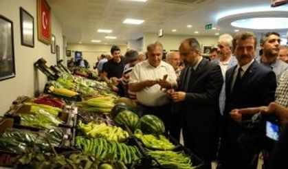 İnce Bakış Biber Festivali Yenişehir Çay Tv