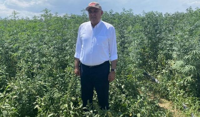 PANKOBİRLİK: Önümüzdeki yıl sanayi alt yapısına başlayacağız