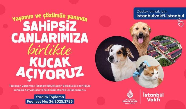 İSTANBUL VAKFI’NDAN SAHİPSİZ CAN DOSTLARIMIZA DESTEK ÇAĞRISI