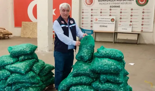 Kapıkule’de midye, Sabiha Gökçen’de tıbbi sülük operasyonu: 1,5 milyon TL'lik ceza