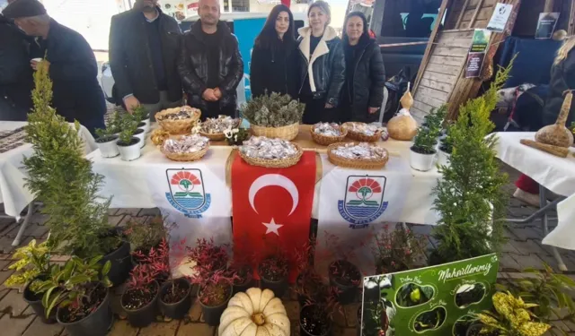 Yalova'da Ata Tohumuna büyük destek