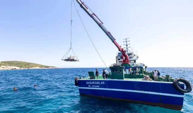İzmir'de midye kabukları deniz yaşamına nefes olacak