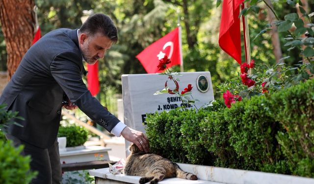Başkan Vekili Şahin Biba’dan şehitlik ve esnaf ziyareti