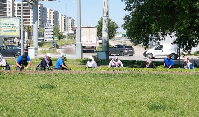 Bu Yaz Osmangazi’de Çiçek Kokuları Eksik Olmayacak