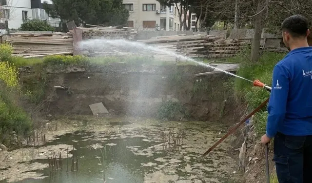 İzmir'de sivrisineğe karşı dev mücadele