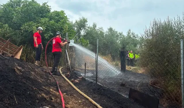 Mudanya Göynüklü’deki yangın ormanlık alana sıçramadan kontrol altına alındı