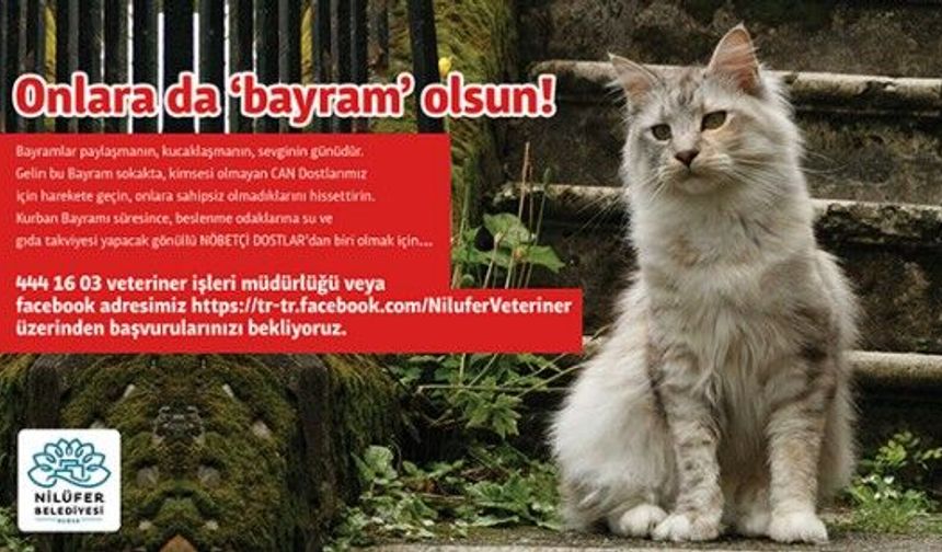 Can Dostlarım