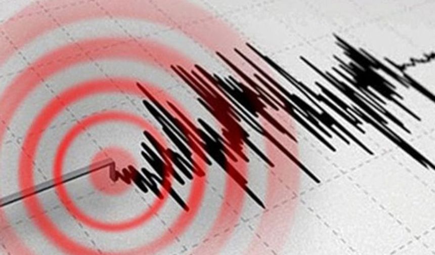Van'da korkutan deprem
