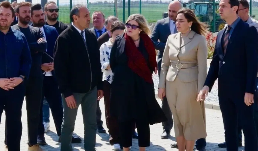 Tekirdağ'da can dostları için dev yatırım