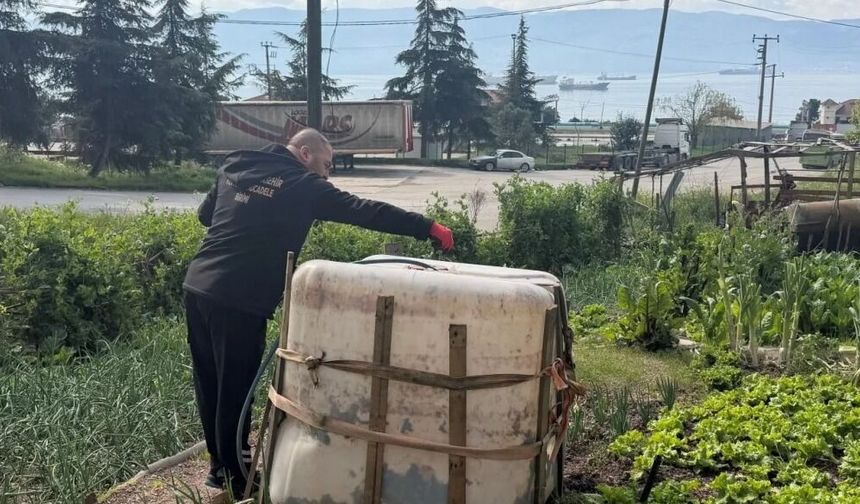 Kocaeli'de sivrisinek ve karasinekle yoğun mücadele