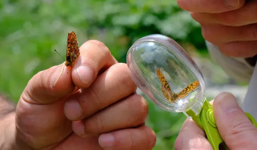 Kuzuyayla’nın zengin biyoçeşitliliği incelendi