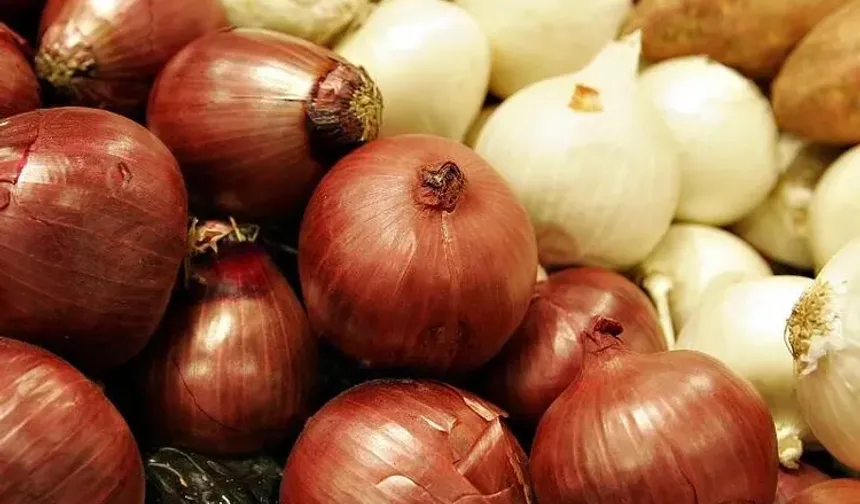 Kuru soğanda gümrük geçici yüzde 5’e indirildi