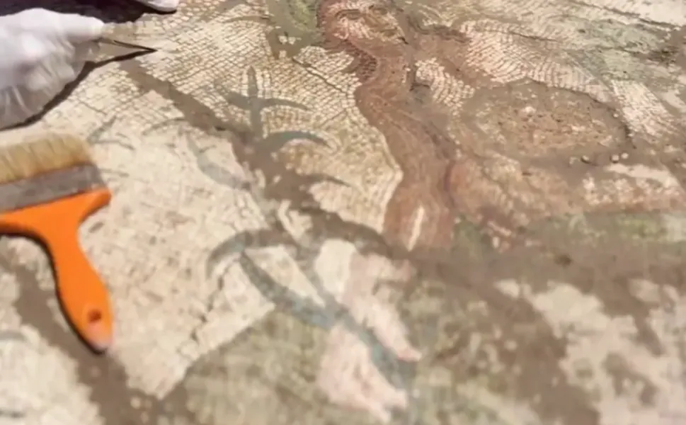 Aspendos'ta tarihi keşif... Eurymedon Nehri mozaiği gün yüzüne çıkarıldı