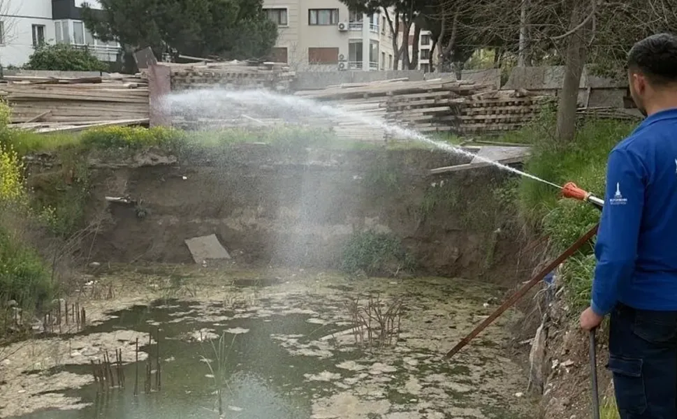 İzmir'de sivrisineğe karşı dev mücadele
