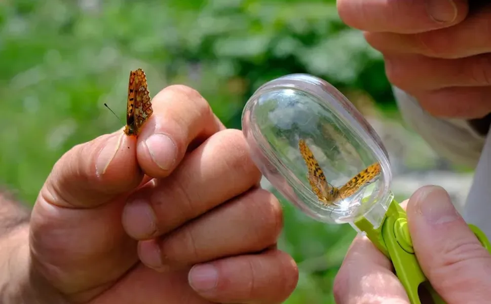 Kuzuyayla’nın zengin biyoçeşitliliği incelendi