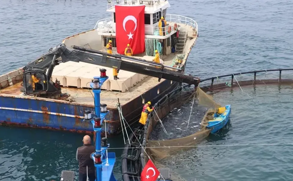 Avcılıkta artış, iç sularda düşüş!