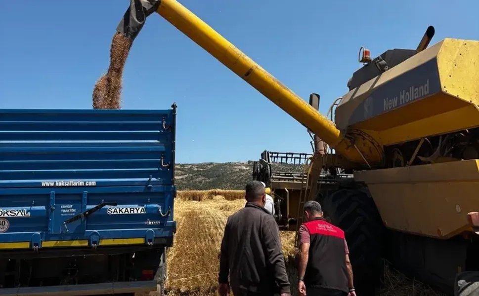 Bursa'da hububat hasadında sıkı denetim... Dane kaybına geçit yok